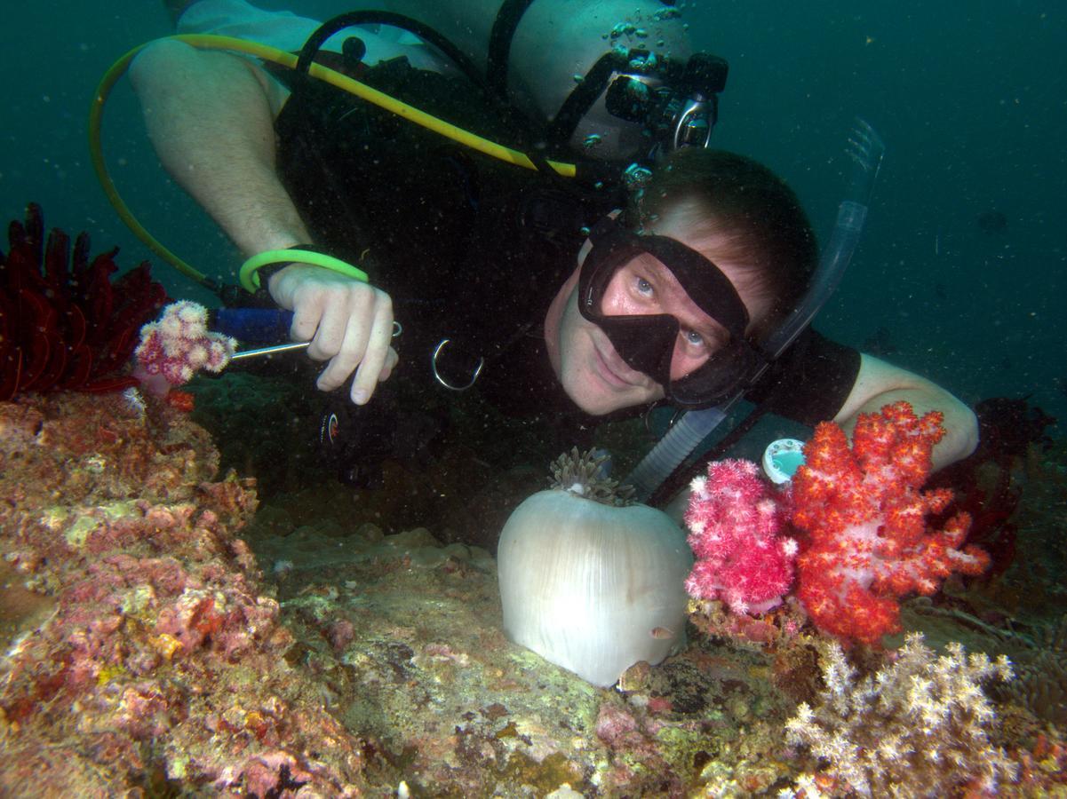 The Barat Tioman Beach Resort Kampong Juara Dış mekan fotoğraf